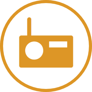 Radio icon